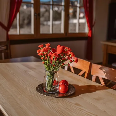 Za Wsia - Czorsztyn Lake, Villa *